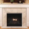 The Marquis Skyline III Direct Vent Fireplace in a living room.