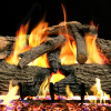 A Transitional Fireplace Door with flames and logs on a black background.