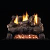 A fireplace with Foothill Oak Vent Free Log Set and flames on a black background.