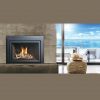 A Marquis Capri 34/44 Direct Vent Gas Insert with a view of the ocean.