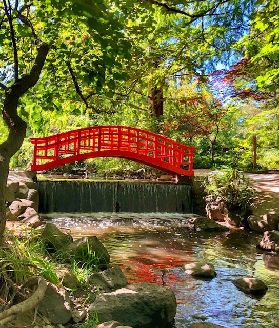 A red bridge over a stream in a japanese garden.